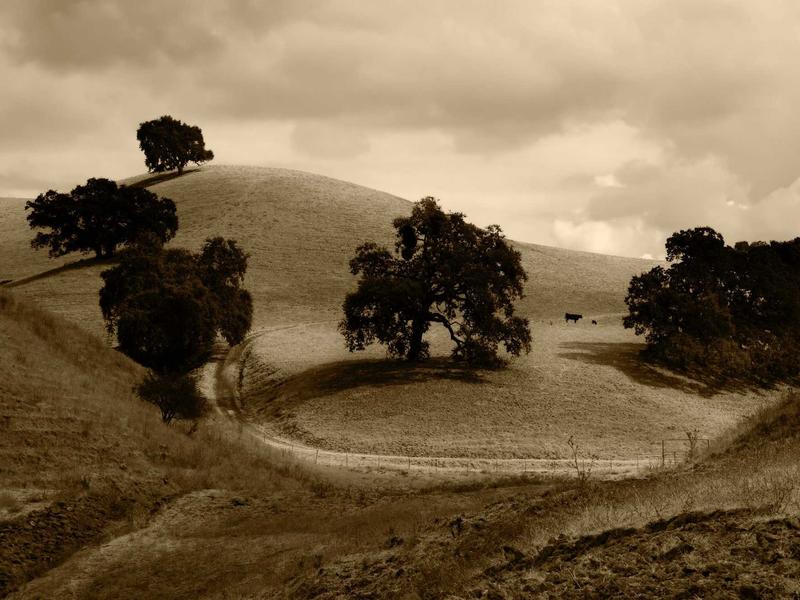 sudoku expert screenshot 1